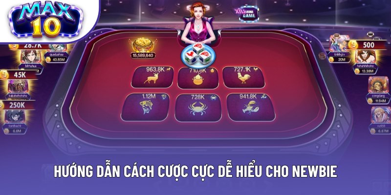 Hướng dẫn cách cược cực dễ hiểu cho newbie