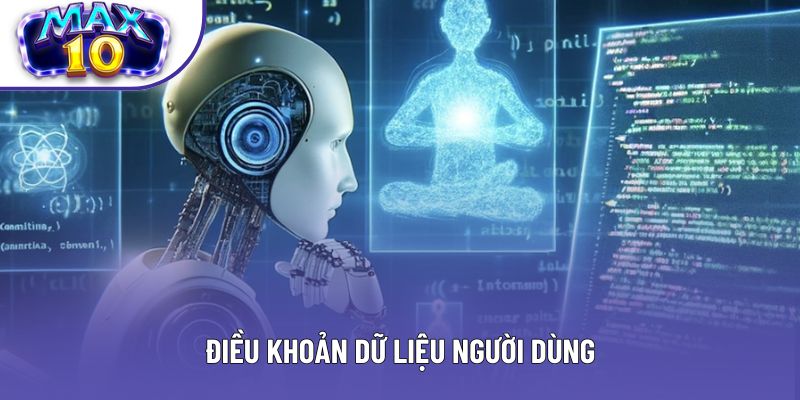 Điều khoản dữ liệu người dùng