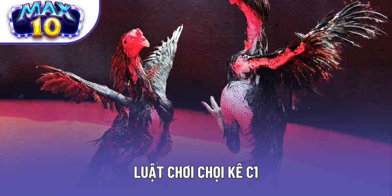Luật chơi chọi kê C1