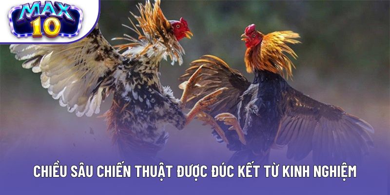Chiều sâu chiến thuật được đúc kết từ kinh nghiệm