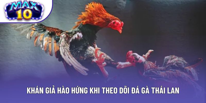 Khán giả hào hứng khi theo dõi đá gà Thái Lan