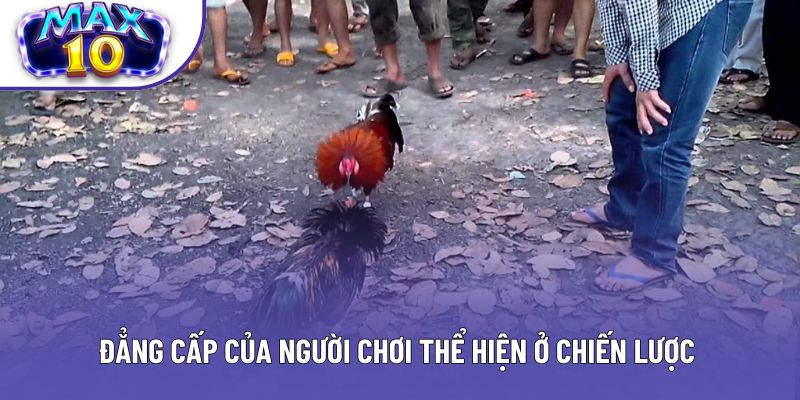 Đẳng cấp của người chơi thể hiện ở chiến lược 