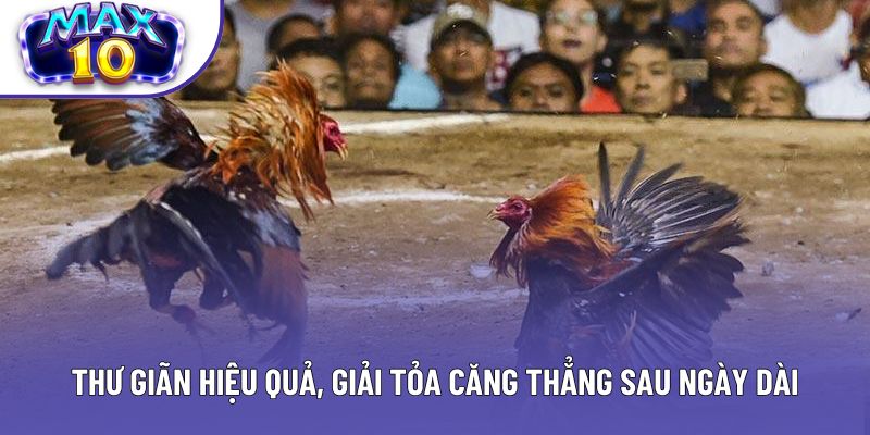 Thư giãn hiệu quả, giải tỏa căng thẳng sau ngày dài