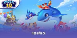 Mod Bắn Cá - Hỗ Trợ Hội Viên Thắng Lớn Trong Năm 2025